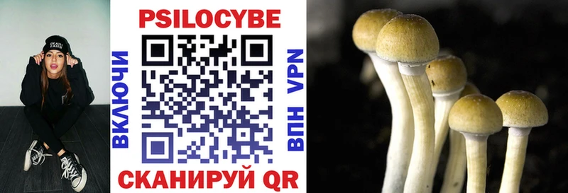 блэк спрут зеркало  где купить наркоту  Давлеканово  Псилоцибиновые грибы ЛСД 